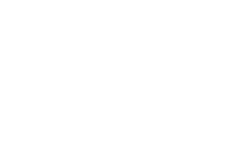 AUTEX